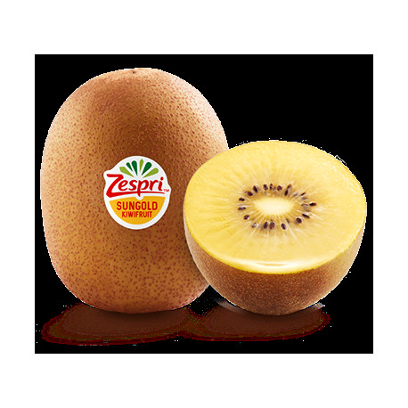 KIWI JAUNE SUNGOLD ZESPRI CAL42 75PCS